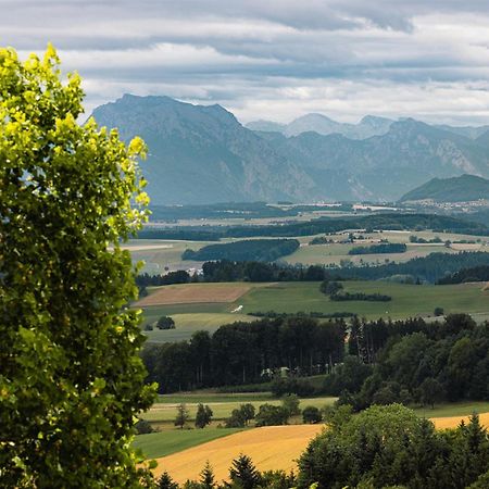 Kurhaus Dr. Petershofer Hotell Wolfsegg am Hausruck Exteriör bild